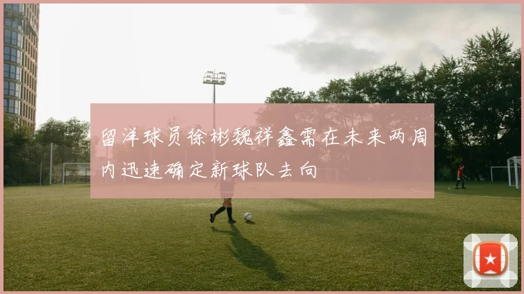 留洋球员徐彬魏祥鑫需在未来两周内迅速确定新球队去向